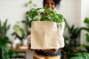 Sustainability Marketing: Aligning Brand Values with Consumer Expectations​